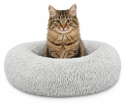 Produktbild von lionto Donut Katzenkissen, rundes Bett mit Plüschbezug & Anti-Rutsch-Boden, erhöhter Rand für Geborgenheit, 40 cm Durchmesser, hellgrau