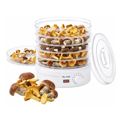 Produktbild von Pilz- Gemüse- und Obsttrockner 500W BLASEN FD-01