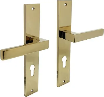 Produktbild von Türdrücker Hera auf Schild PZ 72 Messing PVD