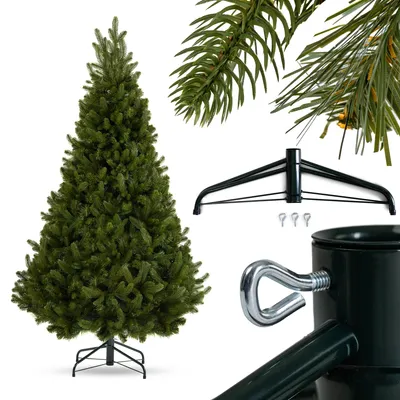Zdjęcie produktu dla Choinka Jodła Szlachetna 220 cm