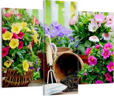 Produktbild von Bild auf Leinwand - Leinwandbild - Pflanzen Garten Frühling Natur - 130x100cm - Wand Bild - Wanddeko - Leinwanddruck - Bilder - Kunstdruck - Leinwand bilder - Wandkunst - CB130x100-2682