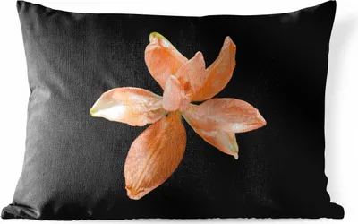 Produktbild von MuchoWow® Outdoor Kissen - Blumen - Orange - Lilie - 50x30 cm - Wetterfest - Lounge Kissen - Sofa kissen - Wohnzimmer Dekoration