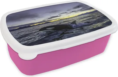 Produktbild von KitchenYeah® Lunchbox Brotzeit Brotdose 17x11 cm Orca bei Sonnenaufgang Kinder Brotzeitdose - Lunchpaket - Brotkasten  - Sandwich Box