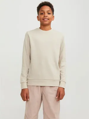 Immagine prodotto di Jack & Jones Bradley Sweat Crew Pullover Kinder