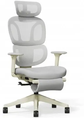 Produktbild von Ergonomischer Bürostuhl mit Fußstütze BS5WG-F2, 2D-Kopfstütze, grau