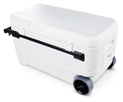 Zdjęcie produktu dla Igloo 00050170, Stany Zjednoczone, 1 szt., 1007,6 mm, 473 mm, 501,4 mm, 11,5 kg