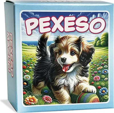 Produktbild von RAPPA Pexeso Haustiere im blauen Karton