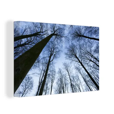 Zdjęcie produktu dla OneMillionCanvasses® - Obraz na płótnie - 150x100 cm, Las - Drzewa - Niebo, dekoracja ścienna z nadrukiem