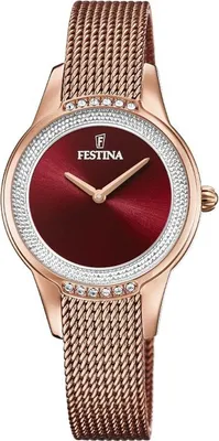 Obrázek produktu pro Dámské hodinky Festina F20496-1 růžové zlato