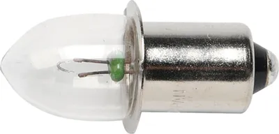 A close-up studio shot of a small light bulb with a metal base.
