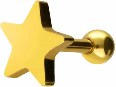 Produktbild von Ohrpiercing Chirurgenstahl Ohrpiercing STERN