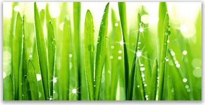 Produktbild von Tulup Leinwand-Bilder 140x70 Wandbild Canvas Kunstdruck Gras Pflanzen