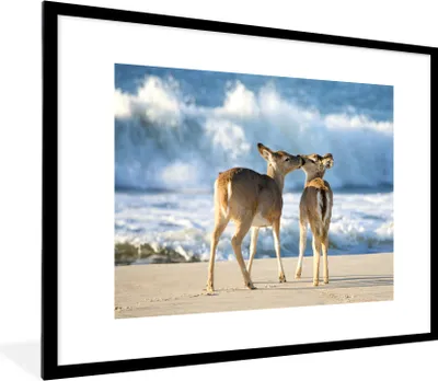 Produktbild von MuchoWow® MuchoWow® Gerahmtes Poster Hirsche - Meer - Wasser - Sand 80x60 cm - Poster mit zchwarzem Bilderrahmen - Schlafzimmer-Dekorationen - Fotoposter