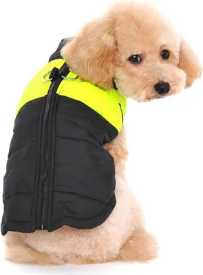 Image de Manteau pour chien, manteau imperméable, veste d'hiver chaude pour petits, moyens et grands chiens, vêtements pour chiens, pull pour chien, manteau d'hiver, taille S, vert clair