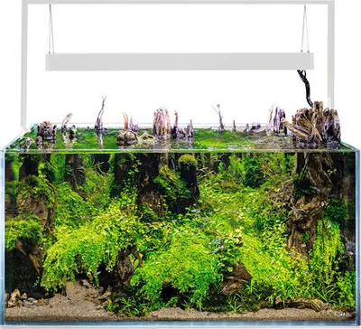 Produktbild von Aquarium AQUAEL UltraScape 90 mit LED Beleuchtung ca. 243 l OPTI-Glas, Weißglas, ohne Unterschrank snow