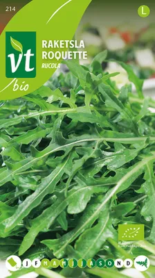 Produktbild von Kopfsalat Rucola  Samen - Ca. 2 gr | VT_214
