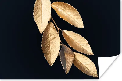 Produktbild von MuchoWow® Poster Blätter - Schwarz - Gold - Luxus - Pflanzen 120x80 cm - Bilder