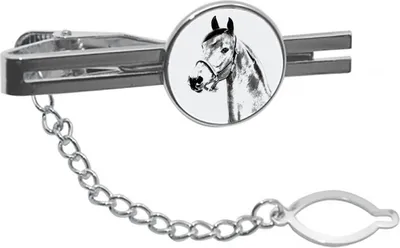 Productafbeelding van Morgan raspaard speld voor stropdas met paard Art-Dog