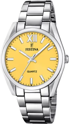 Obrázek produktu pro Hodinky Festina F20622-G stříbrné