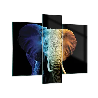 Produktbild von Bilder auf glas - 3 Teile - Bunt Elefant Fotografie - 95x80cm - Glasbilder - Wandbilder - Bilder - zum Aufhängen bereit - Wanddekoration aus Glas - Glas Bilder - Wandbild auf Glas - GCB95x80-4768