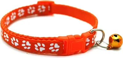 Produktbild von Halsband für Kätzchen/Katze Pfote 1x19-32cm Orange