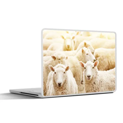 Produktbild von MuchoWow® Laptop Aufkleber Sticker Cover Schafe - Wolle - Weiß 31x22.5 cm - Laptop-Deko