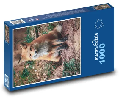 Zdjęcie produktu dla Puzzle 1000 Lis w zaczarowanym lesie - martinpuzzle