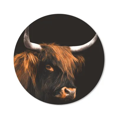 Produktbild von MuchoWow® Mauspad Mousepad Schottischer Highlander - Kuh - Schwarz 40x40 cm - Mousepads - Maus Mat - Pad - Mausunterlage - Schreibtisch Accessoires