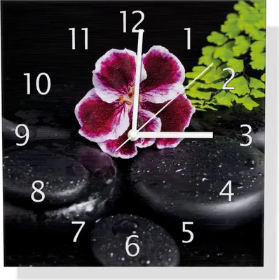 Produktbild von Wallario Design Wanduhr Geranienblüte auf schwarzen Steinen, benetzt mit Wassertropfen aus Aluverbund, Größe 30 x 30 cm