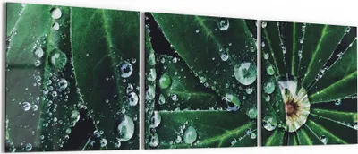Produktbild von DEQORI Glasbild Echtglas 3x50x50 cm 'Wasserperlenverzierung' Wandbilder XXL groß