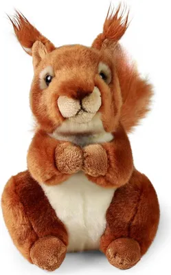 Produktbild von Kuscheltier Eichhörnchen mit Nuss 17 cm Plüschtier