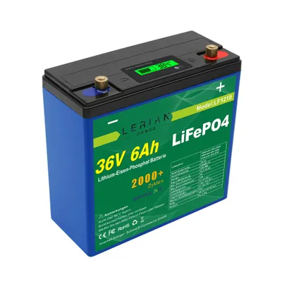 Obrázok produktu pre Lithium-Eisenphosphat Akku 36V 6Ah 10A LiFePO4