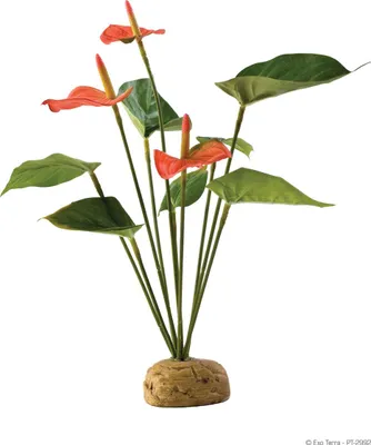 Obrázek produktu pro Hagen Exo Terra Flamingo Flower