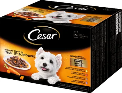 Produktbild von Cesar Favoriten in Sauce 24x 100g