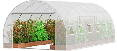 Image de Serre tunnel accessible 19,36 x 9,68 x 6,5 pieds Cadre galvanisé Couverture en PE Blanc