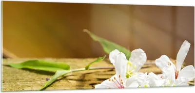 Produktbild von Bilder auf glas - Asien spa bambus blume - 100x40cm - Glasbilder - Wandbilder - Kunstdruck - zum Aufhängen bereit - Wanddekoration aus Glas - Glas Bilder - Wandbild auf Glas - GAB100x40-2499