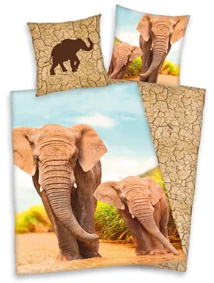Produktbild von Bettwäsche Elefant mit Baby 135x200 cm (80x80 cm)