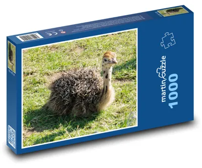Zdjęcie produktu dla Puzzle 1000 Pisklę strusia na farmie - martinpuzzle
