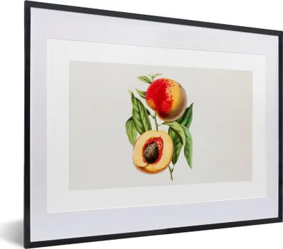 Produktbild von MuchoWow® Gerahmtes Poster Pfirsich - Lebensmittel - Obst 40x30 cm - Poster mit Schwarzem Bilderrahmen Wandposter Rahmen Foto Bilder - Bilderrahmen - Poster im Rahmen
