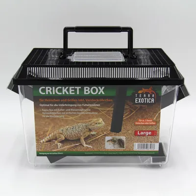 Produktbild von Cricket Box - 30 x 19,5 x 20,5 cm - Large