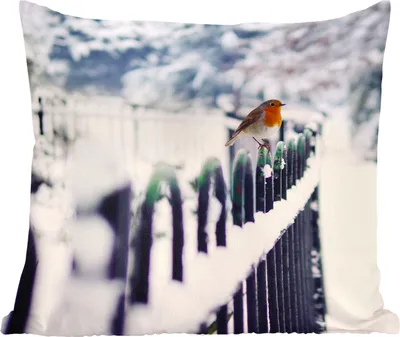 Produktbild von MuchoWow® Zierkissen Sofakissen Wohnzimmer Dekokissen 50x50 cm Rotkehlchen - Winter - Schnee - Komfort - Sofakissen