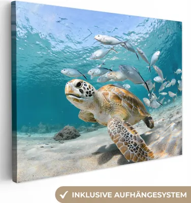 Produktbild von MuchoWow® - Leinwandbilder - Schildkröte - Fisch - Meer, Wandbild, Wanddeko Bilder Wohnzimmer, 120x90 cm