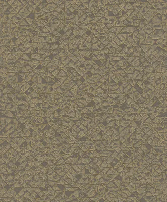 Produktbild von Rasch Kalahari | 704365 | Vliestapete Muster | 0.53 m x 10.05 m | Braun