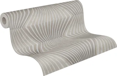Produktbild von A.S. Creation Titanium 3     | 382043 | Vliestapete 3D Optik | 0.53 m x 10.05 m | Grau