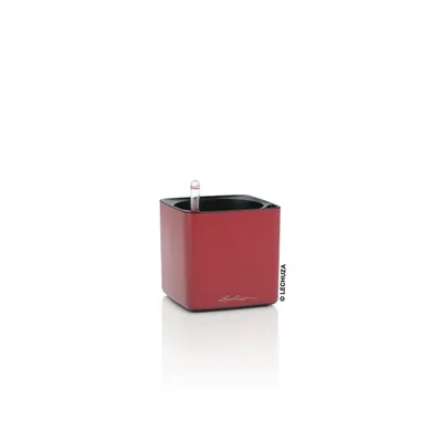 Produktbild von LECHUZA-Tischgefäß CUBE Premium 14 Scarlet Rot Matt | Pflanzgefäß mit Bewässerungssystem | matte Oberfläche | 14 x 14 x 13,5 cm | 13502