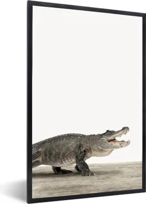 Produktbild von MuchoWow® Gerahmtes Poster Kinder - Krokodil - Junge - Kinder - Mädchen 20x30 cm - Poster mit Schwarzem Bilderrahmen Wandposter Rahmen Foto Bilder - Drucken - Bilder Poster im Rahmen