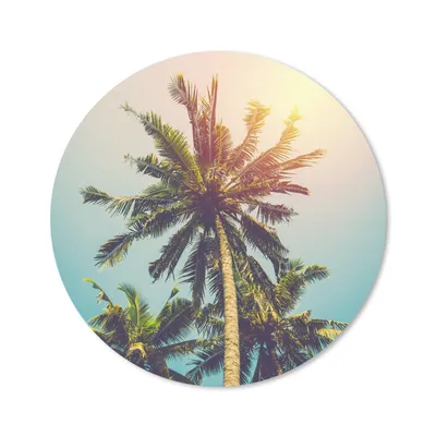 Produktbild von MuchoWow® Mauspad Mousepad Palme - Sommer - Tropisch - Sonne 50x50 cm - Mousepads - Maus Mat - Pad - Mausunterlage - Vinyl
