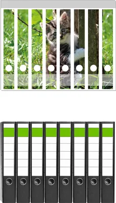 Produktbild von Wallario 8 Stück schmale Ordner inkl. Klebeetiketten mit Motive Süßes Kätzchen an einem Baum -  Set mit Rückenschildern / Ordnerrücken Stickern
