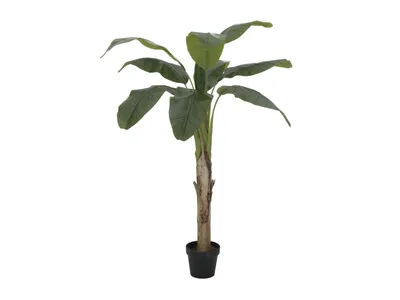 Produktbild von EUROPALMS Bananenbaum, Kunstpflanze, 145cm (82509504)