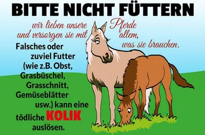 Produktbild von vianmo Holzschild 30x40 cm bitte nicht füttern Pferd Kolik